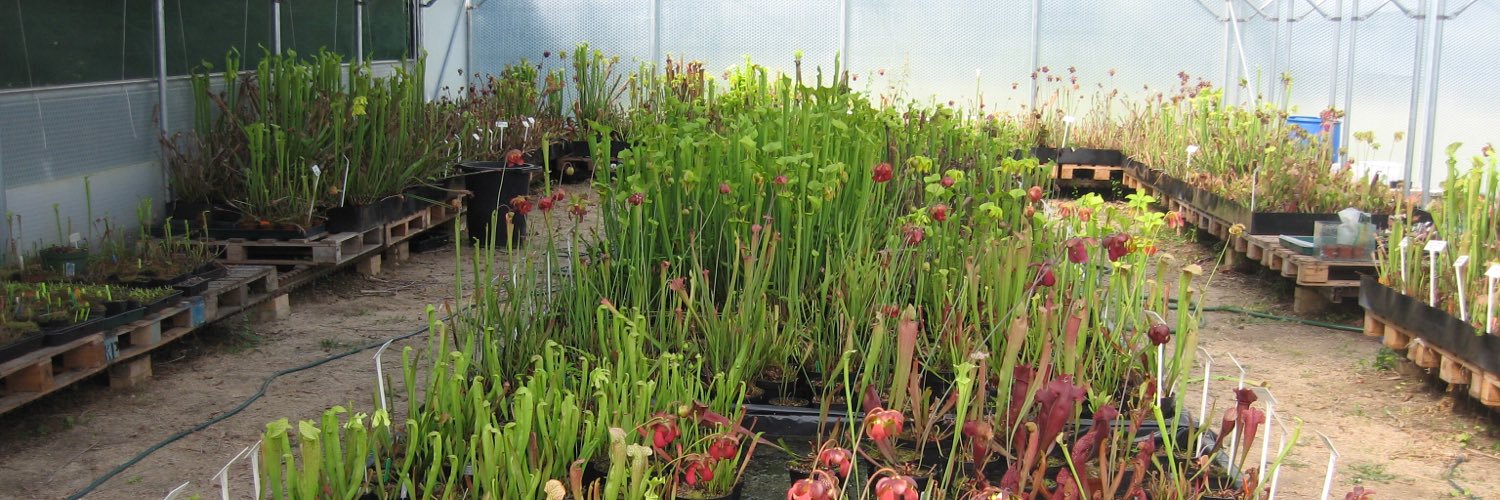 triffidplants's profile banner image