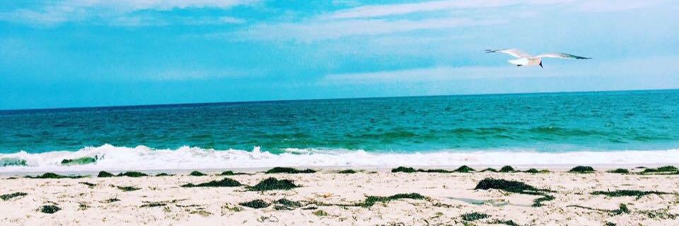 morganbiglin's profile banner image