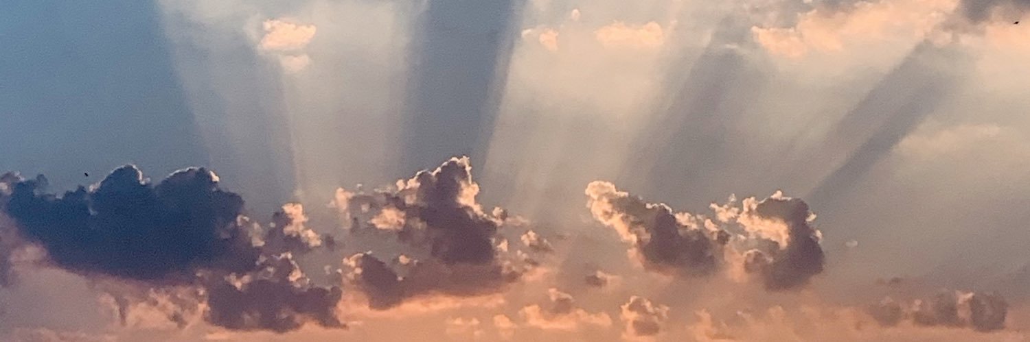 alphapipar's profile banner image