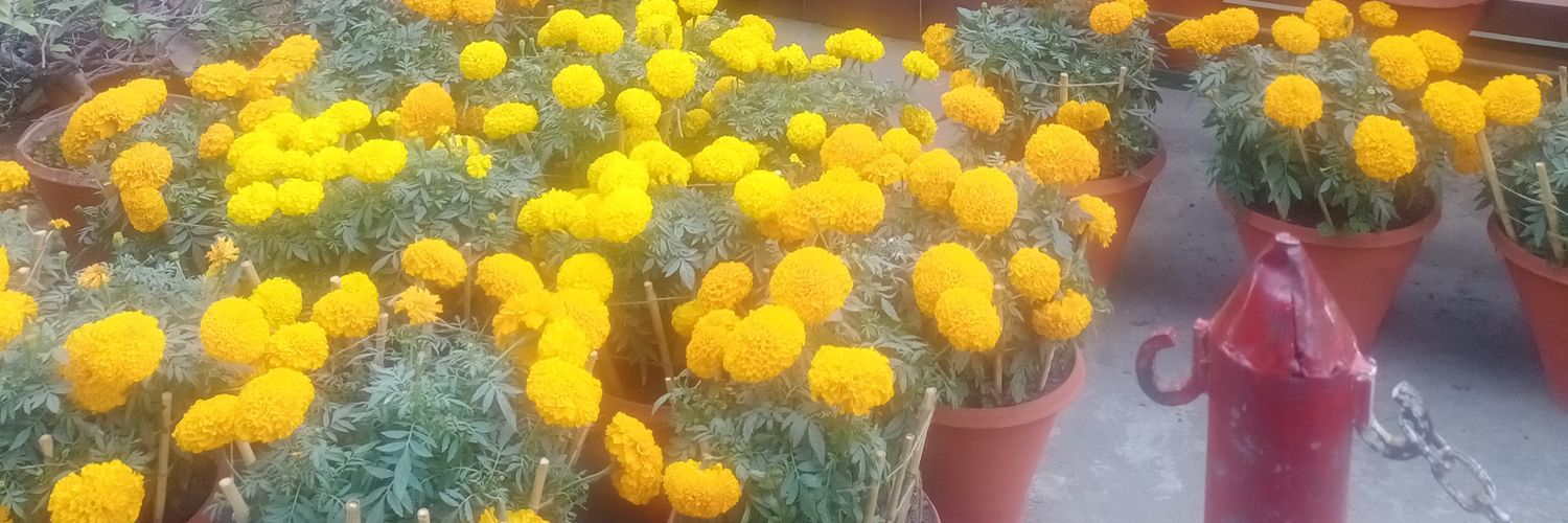 ShubArora2's profile banner image