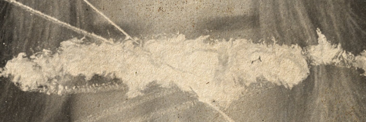 srn_czdn's profile banner image