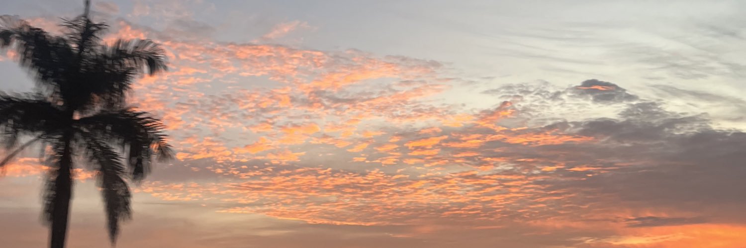 bleenda__'s profile banner image