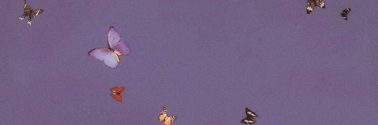LieslPortland's profile banner image