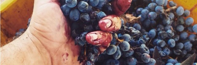 CasaVigil's profile banner image