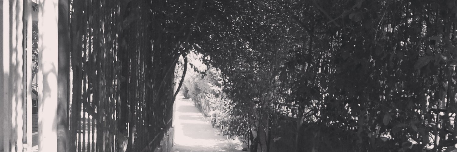 thisisxg's profile banner image