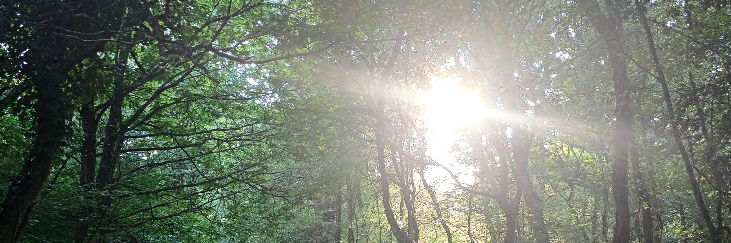 Erick 🇨🇵✊ banner