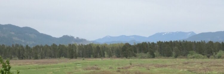 Oliver Jacobs banner