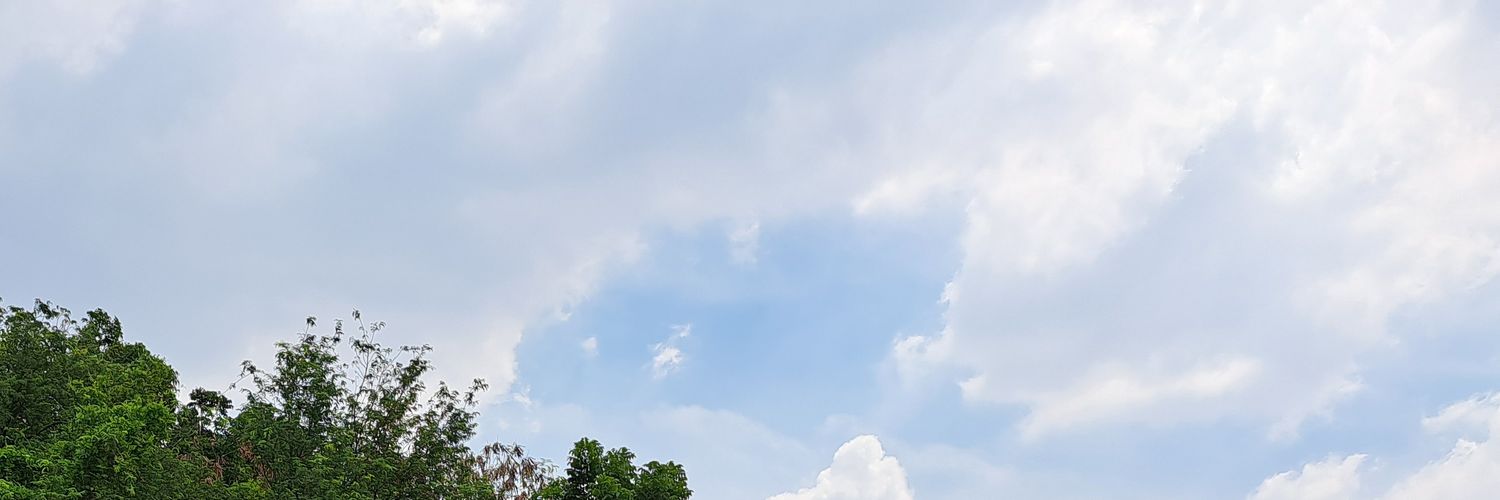 jisungiw's profile banner image