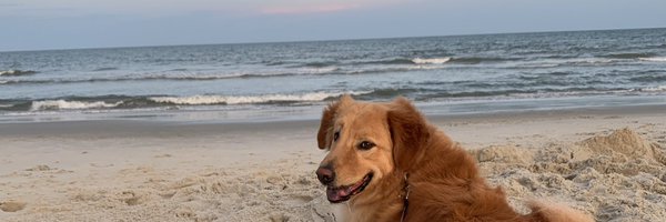 kaley_geer Profile Banner