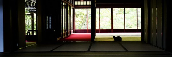 albertuvw Profile Banner