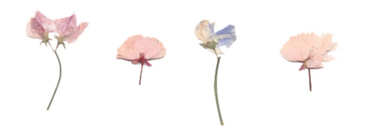 sa_neee's profile banner image