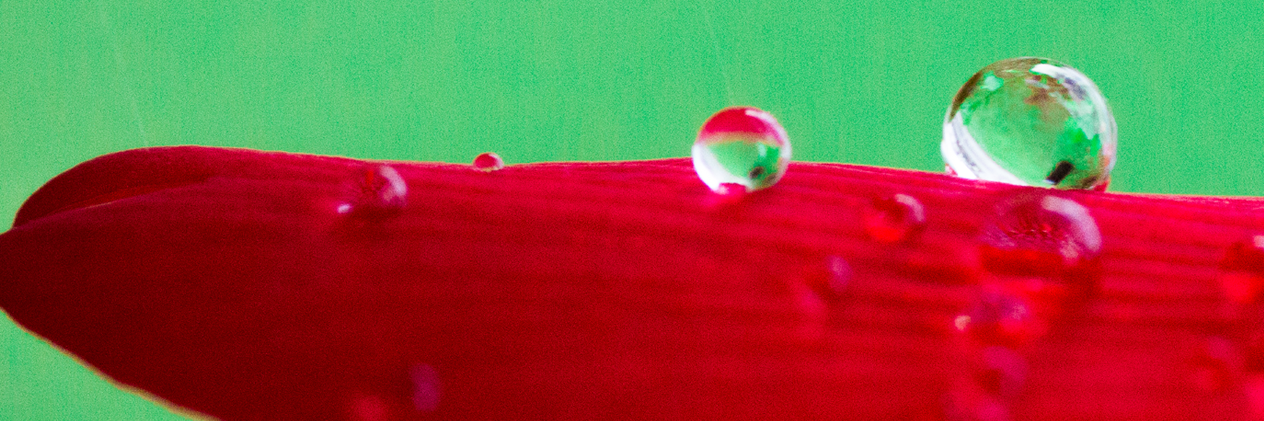 jpp268's profile banner image
