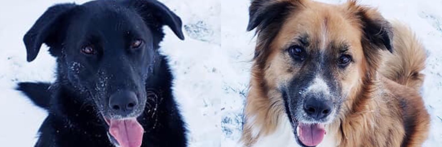 kat_warner's profile banner image