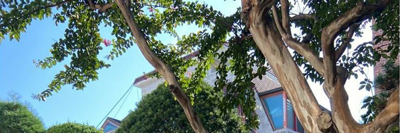 imnabon's profile banner image