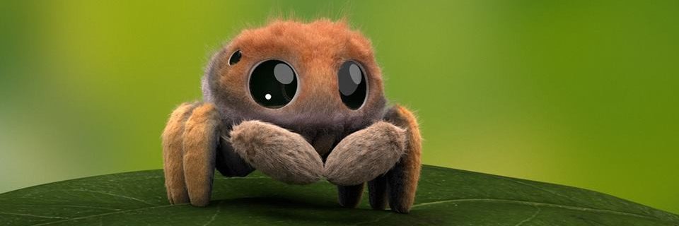 Rafael Emeraldi banner