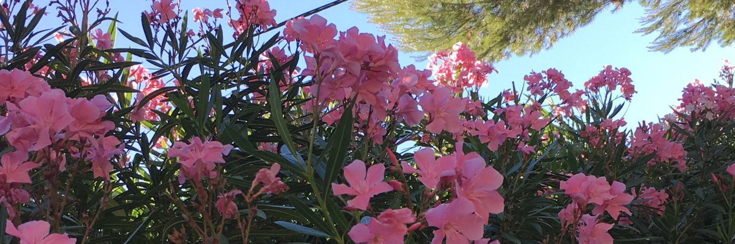 laurabryce_'s profile banner image