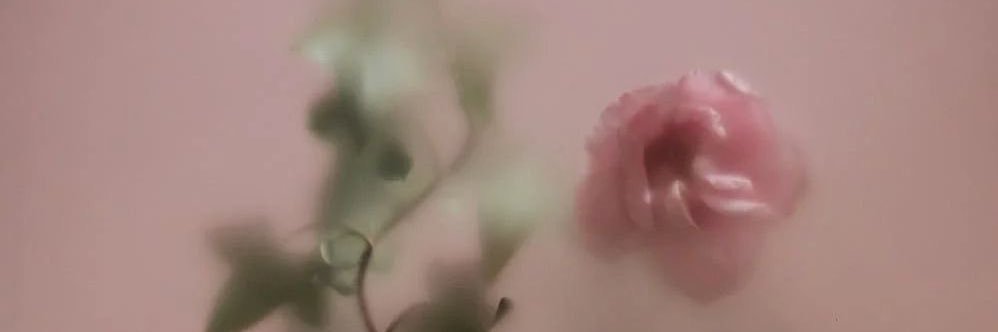 ysabaldeosa's profile banner image