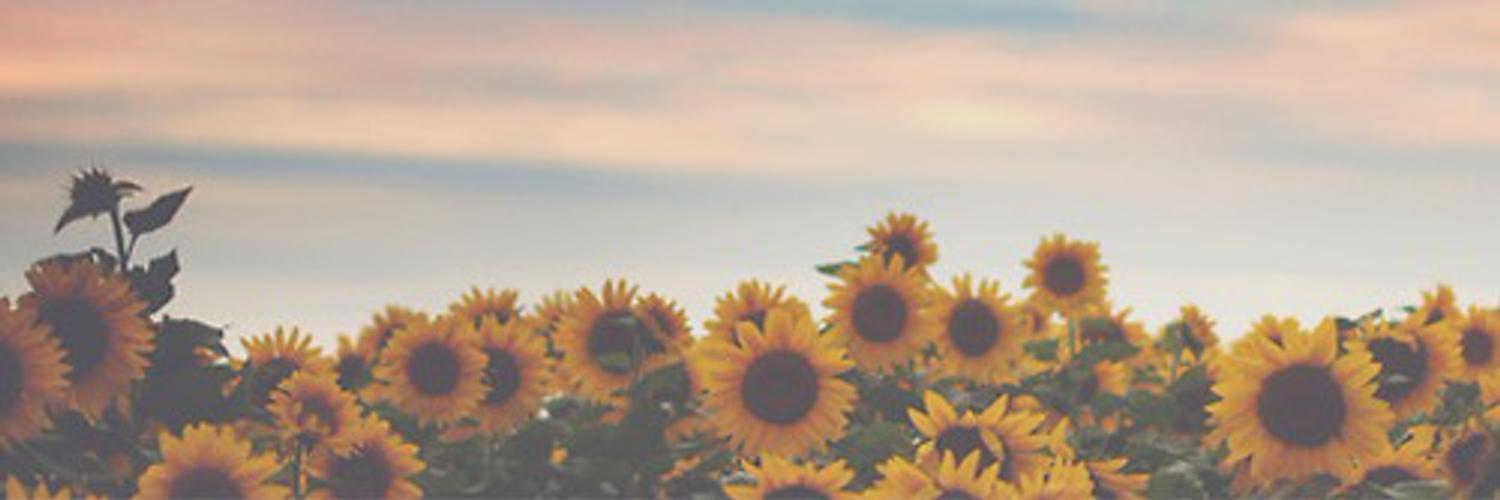 prettyladymish's profile banner image