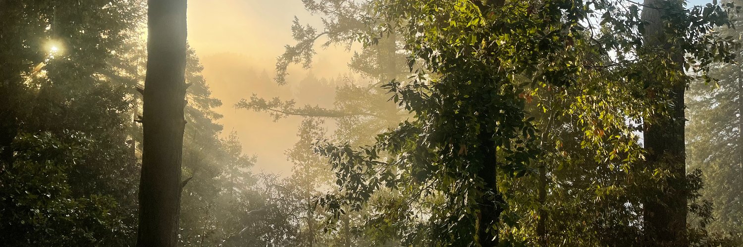 solonteal's profile banner image