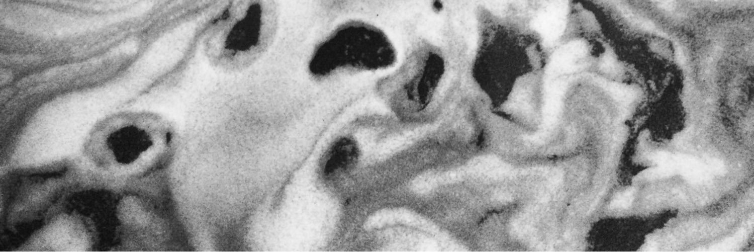 spinyol's profile banner image