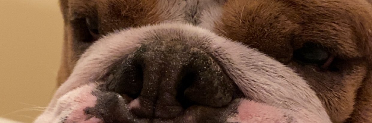 c_cox5's profile banner image