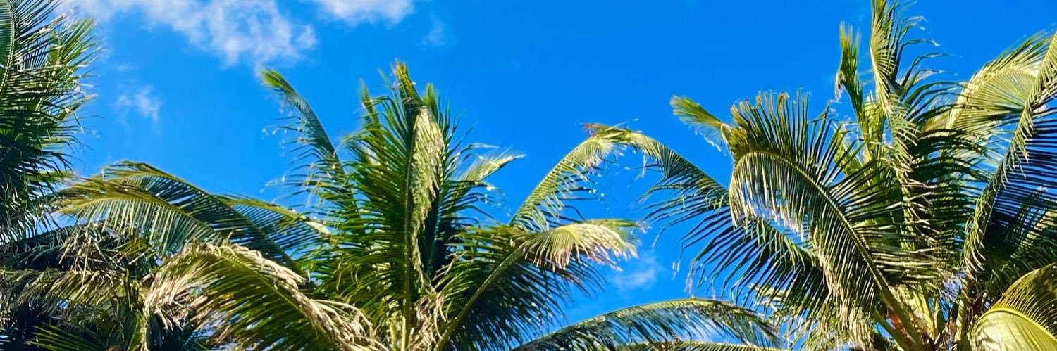 NinaMonteleone's profile banner image