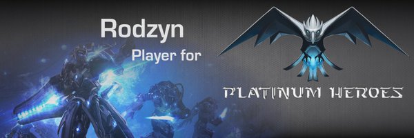 RodzynSC2 Profile Banner