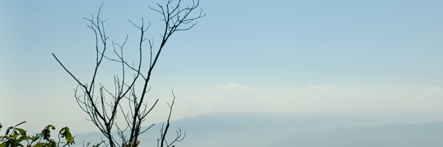 NFF2526's profile banner image