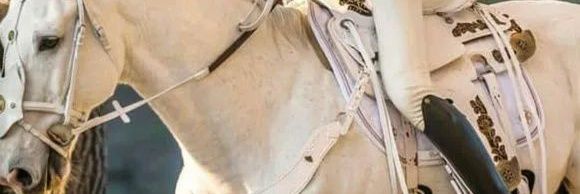 irenney_'s profile banner image