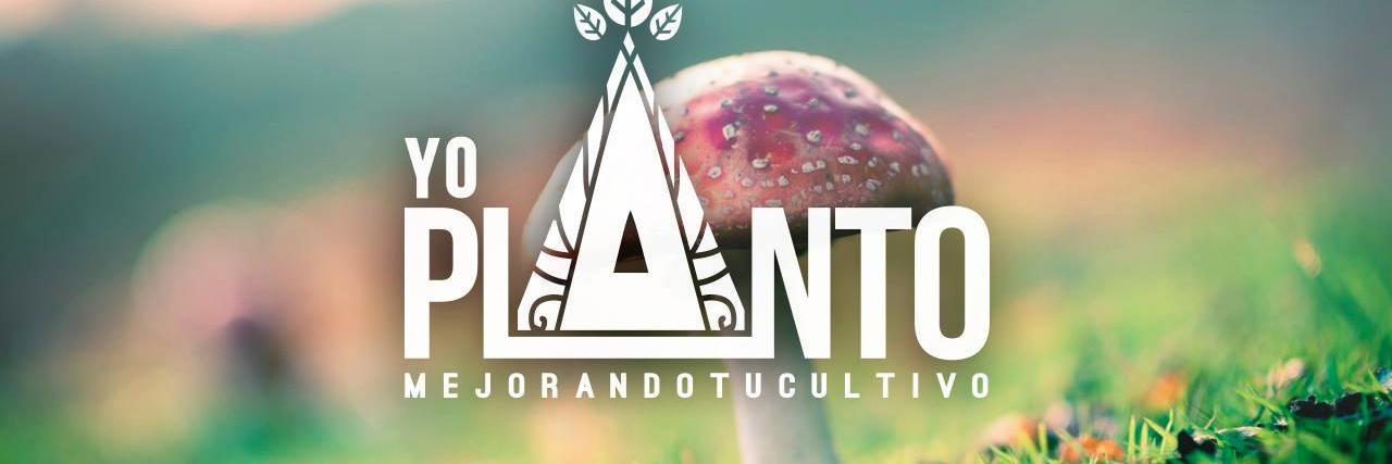YoPlantoChile's profile banner image