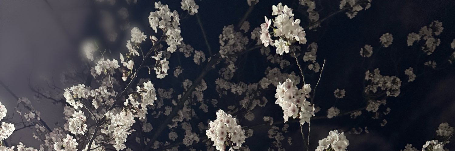 s35tw's profile banner image