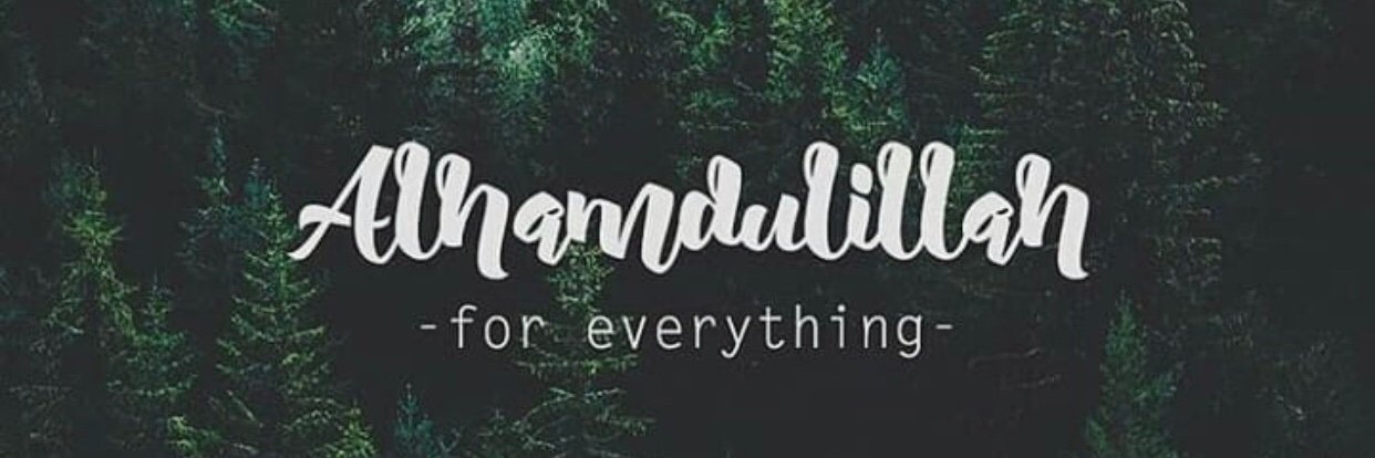 ismadany's profile banner image