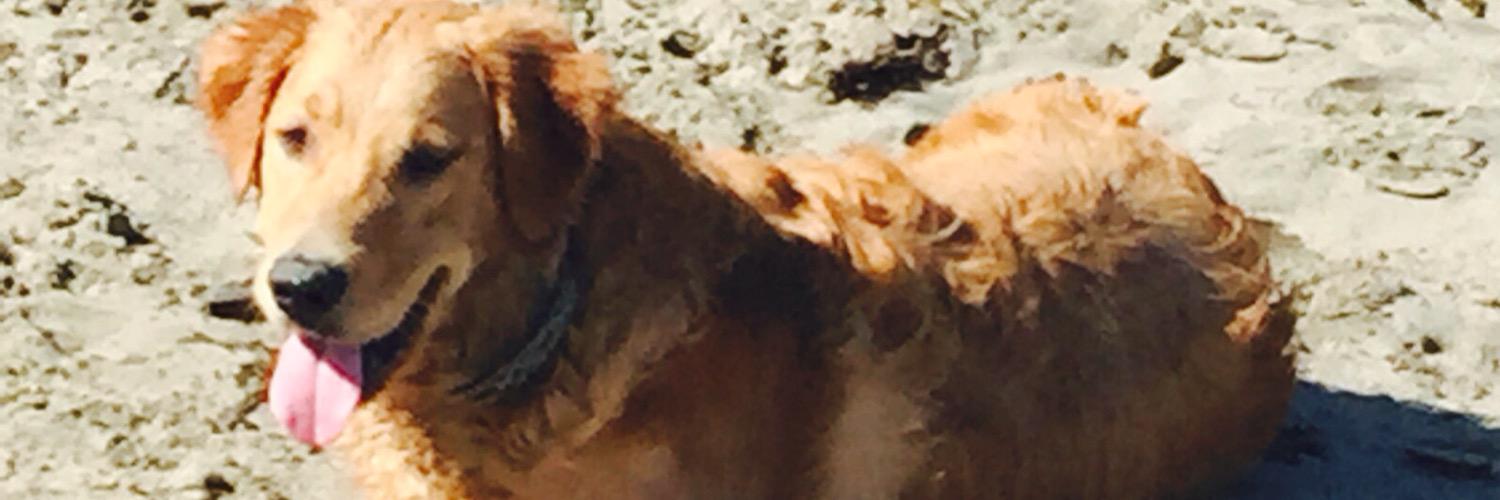 Shruts_01's profile banner image