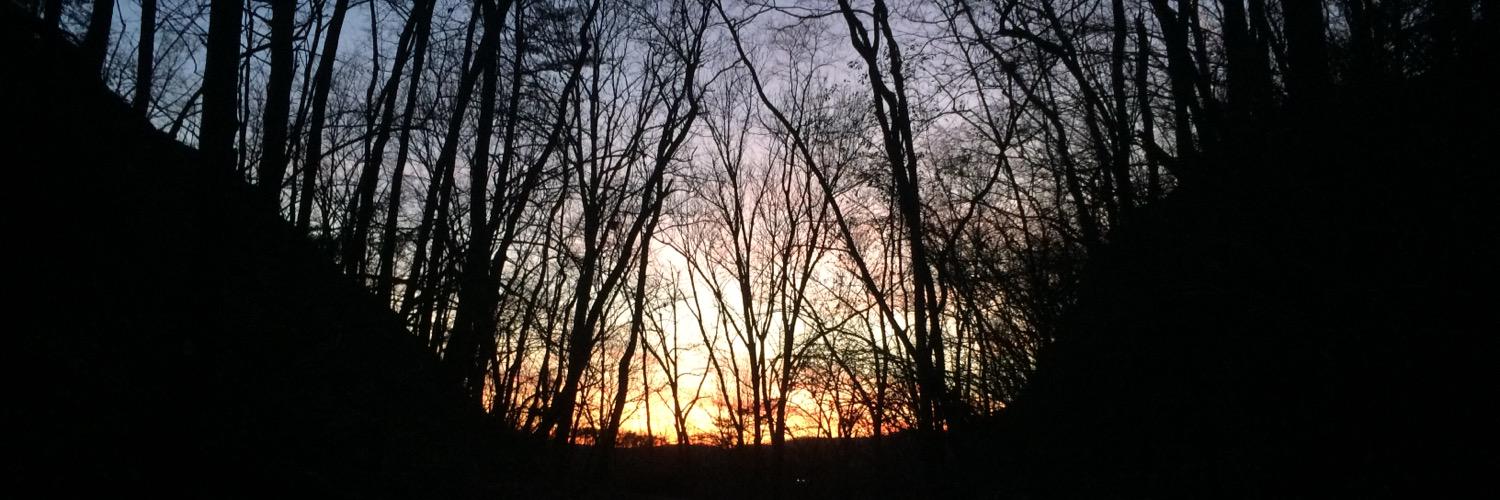 hensley_abby's profile banner image