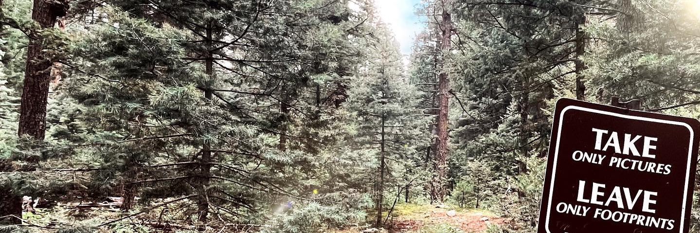 pedrofuckface's profile banner image