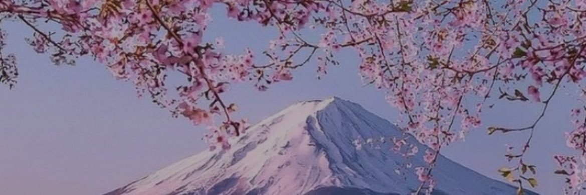 gthvvv's profile banner image