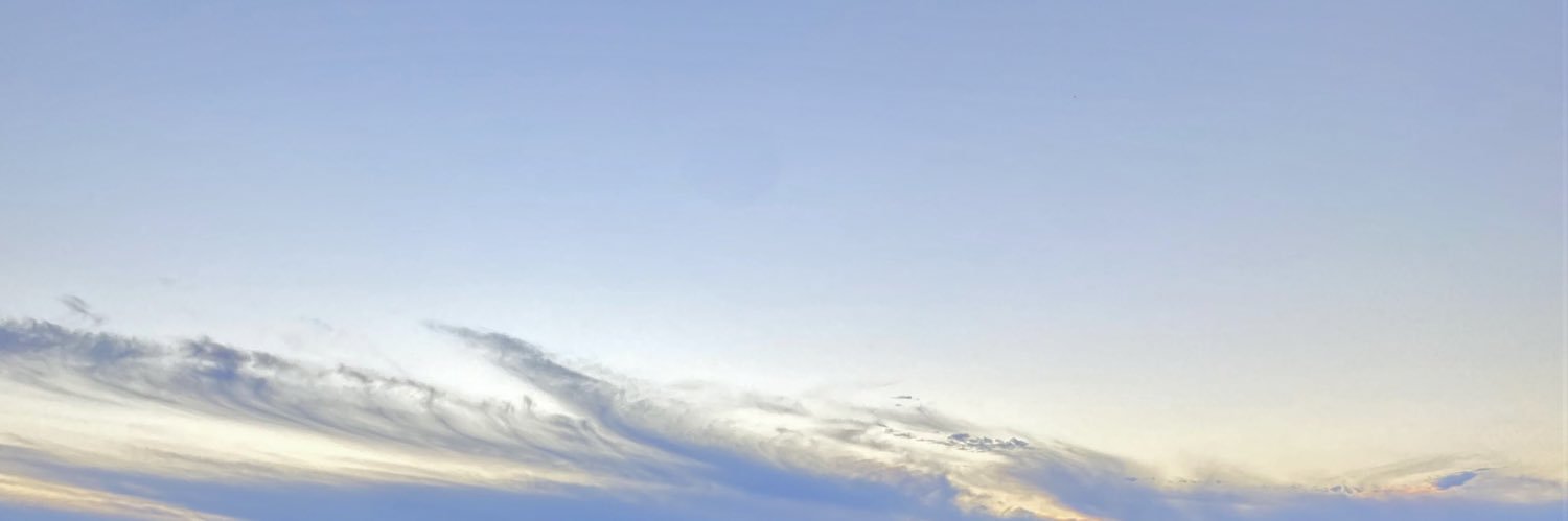 svaleriamedinav's profile banner image