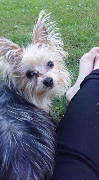 shellito_saige's profile banner image
