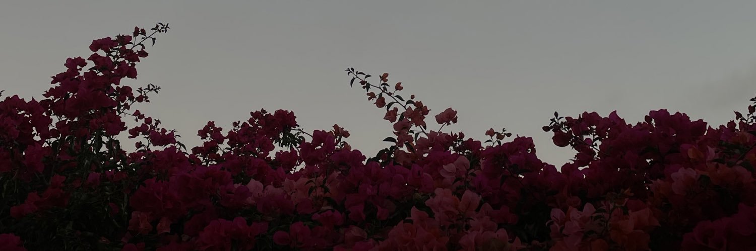 avaleriacc's profile banner image