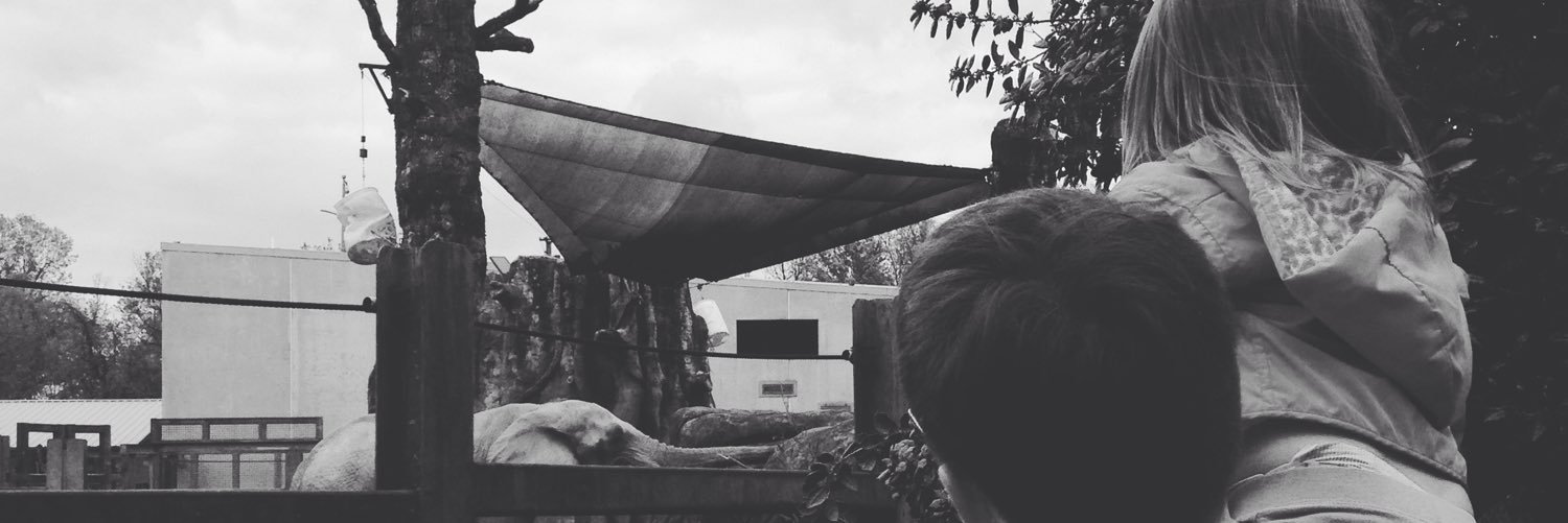 TheyCallMeLizzz's profile banner image