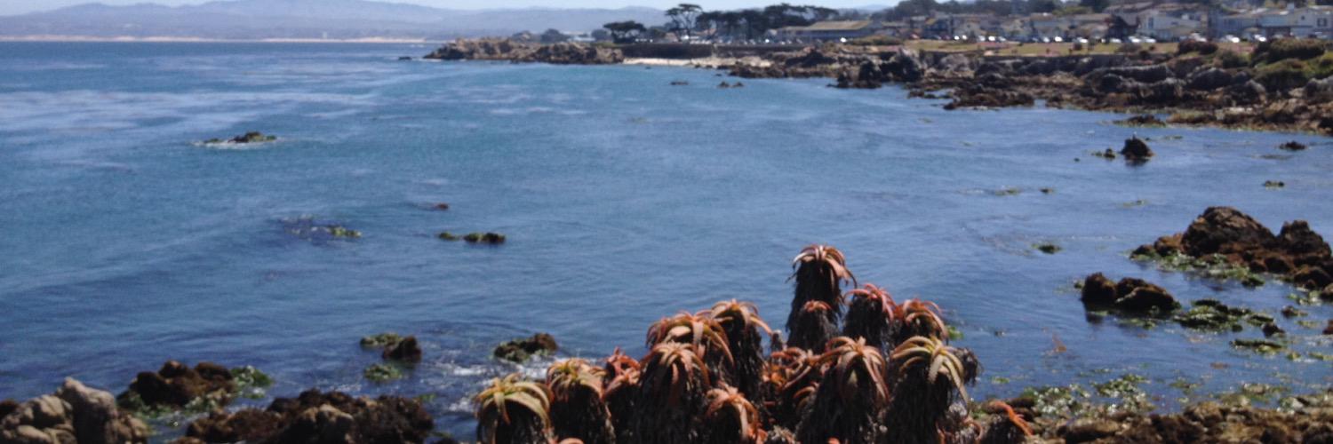 sparkydave1967's profile banner image