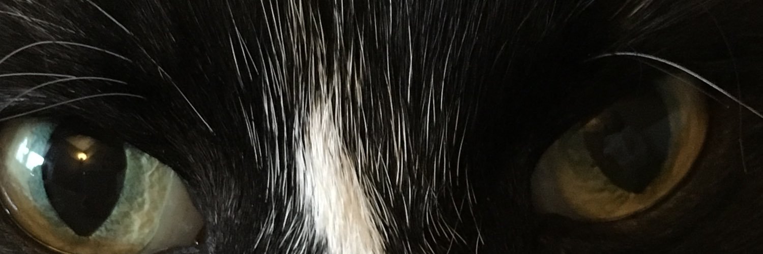 saraJMengstrom's profile banner image