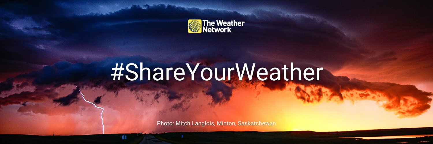 Saphia Khambalia banner