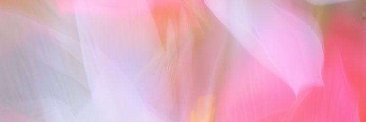 umy_ea's profile banner image