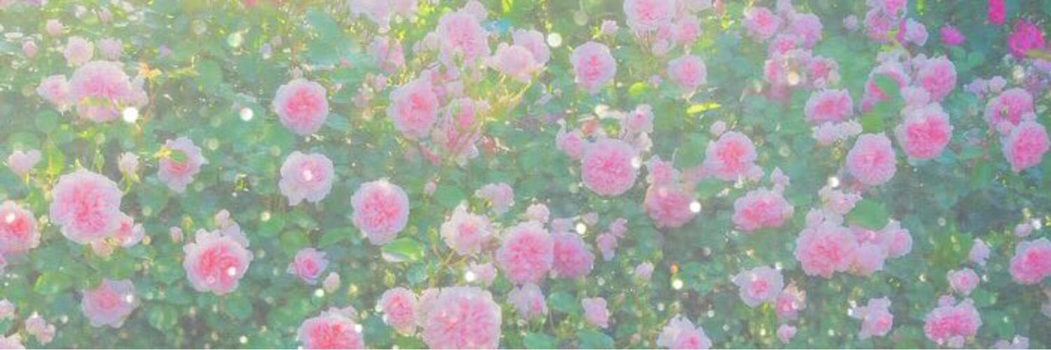 mirepomree's profile banner image