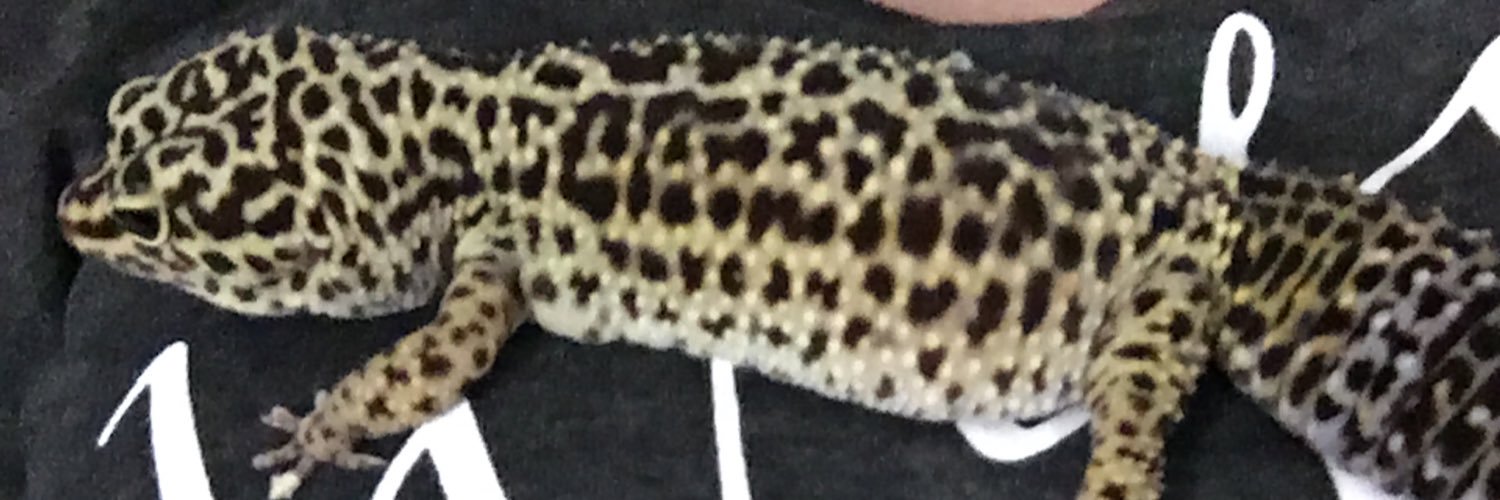 charliemakeup25's profile banner image