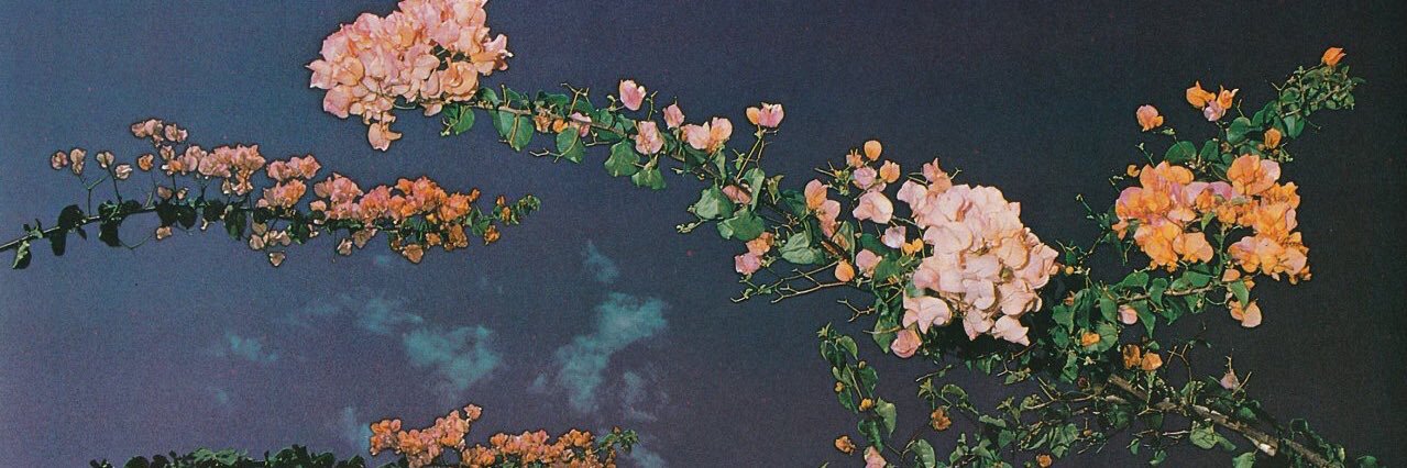 jacxcx's profile banner image