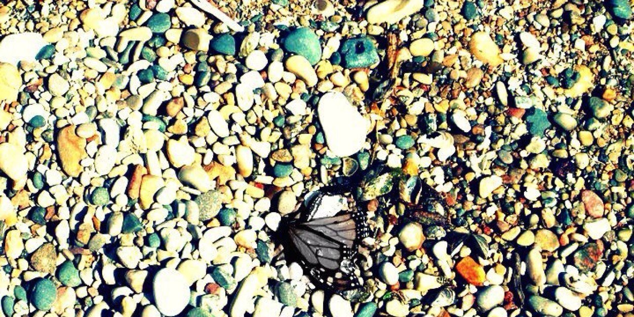 Katie12611's profile banner image