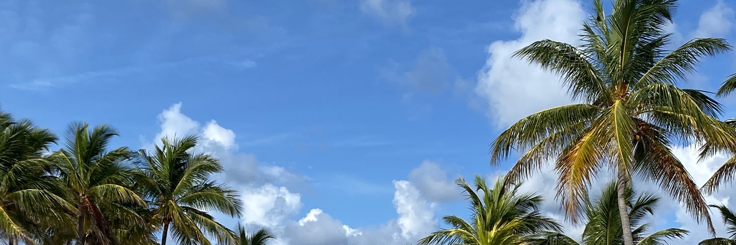 mblanrun's profile banner image