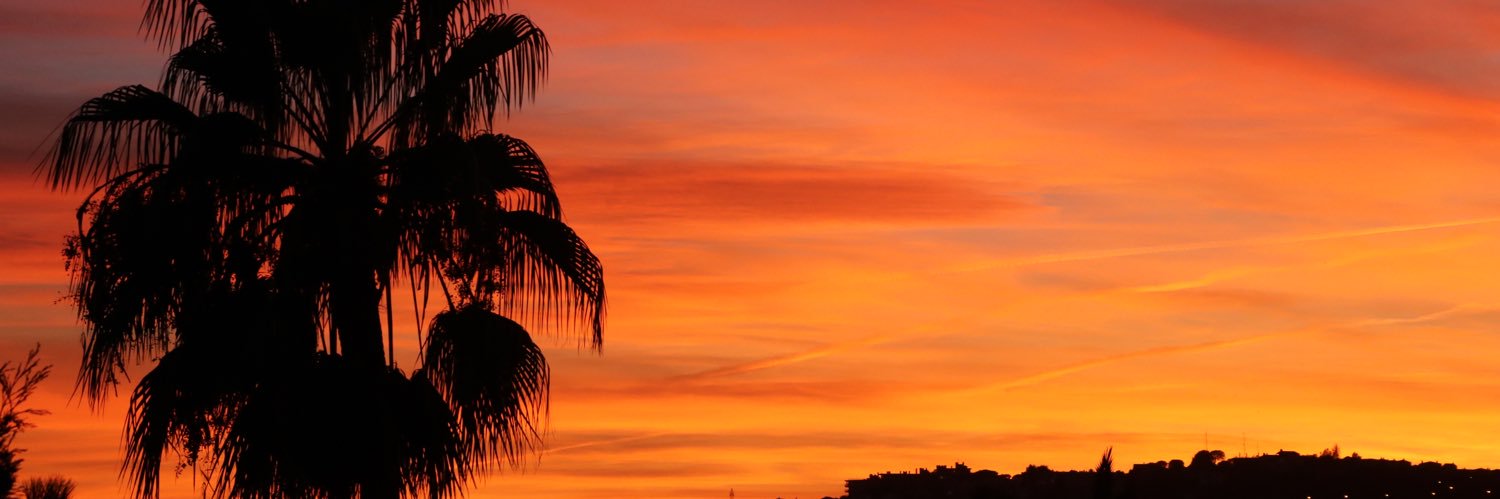 Bruno Chetail banner